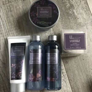 Lila Grace Lavender Hydrangea Set